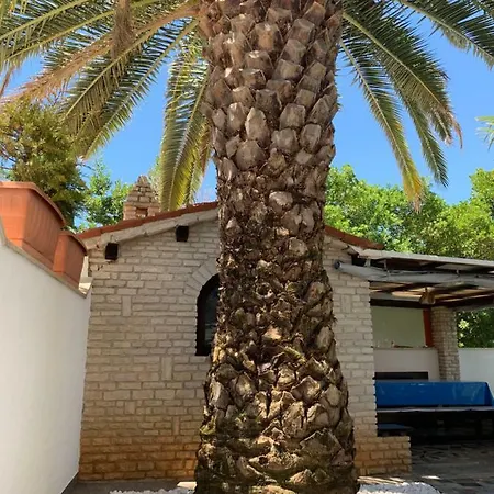Auer Apartman *